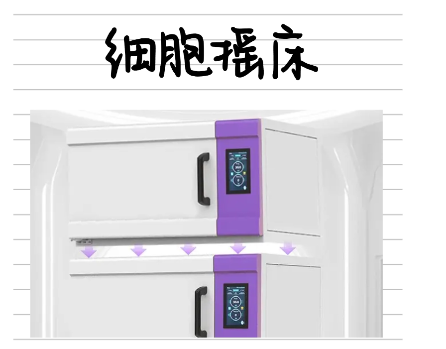 实验室培养摇床作为细胞培养、微生物繁殖、蛋白表达及酶催化反应的重要基础设备，广泛应用于生命科学、生物工程和药物研发等多个领域。其核心功能是通过可控的恒温环境和稳定的振荡运动，为生物反应提供动态均一的培养条件。